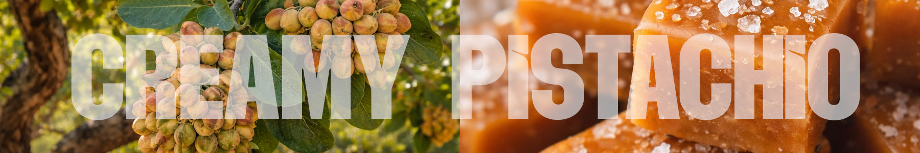 Creamy Pistachio