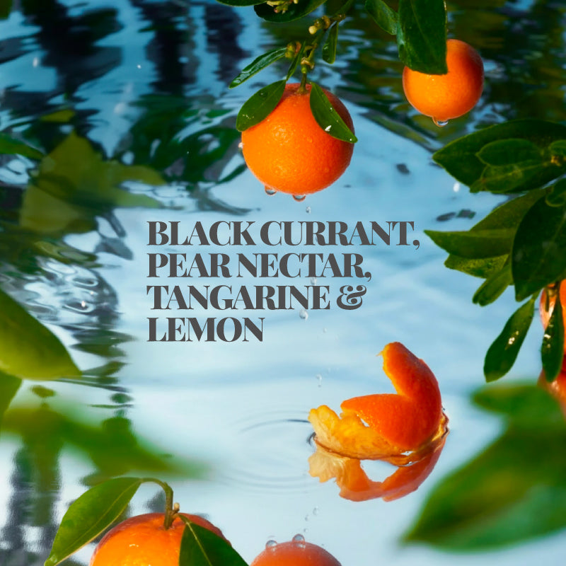 Aqua Mistica parfemska maglica za tijelo